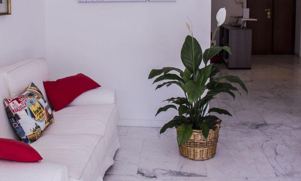Domus Raffaello Bed & Breakfast Rome Bagian luar foto